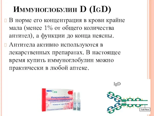 Иммуноглобулин D (IgD) В норме его концентрация в крови крайне мала (менее