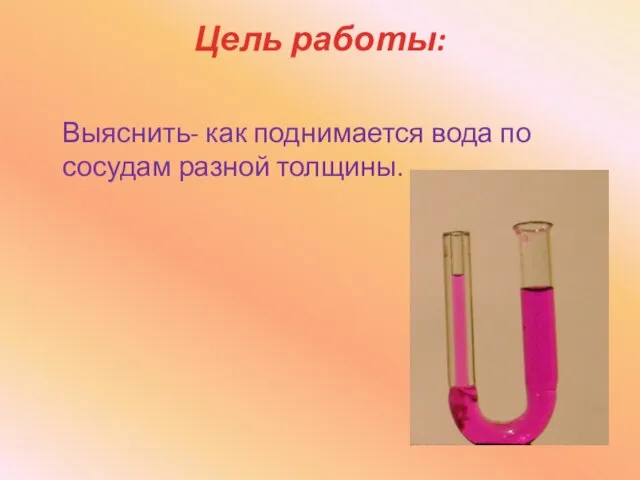 Цель работы: Выяснить- как поднимается вода по сосудам разной толщины.