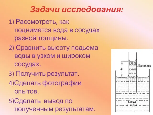 Задачи исследования: 1) Рассмотреть, как поднимется вода в сосудах разной толщины. 2)