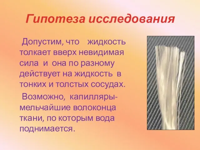 Гипотеза исследования Допустим, что жидкость толкает вверх невидимая сила и она по