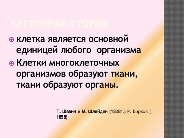 КЛЕТОЧНАЯ ТЕОРИЯ клетка является основной единицей любого организма Клетки многоклеточных организмов образуют