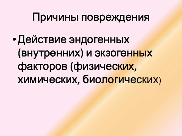 Причины повреждения Действие эндогенных (внутренних) и экзогенных факторов (физических, химических, биологических)