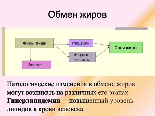 Обмен жиров Патологические изменения в обмене жиров могут возникать на различных его