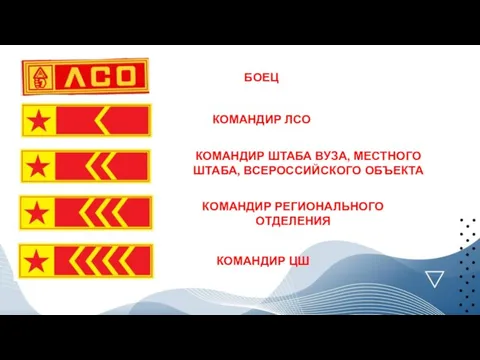 БОЕЦ КОМАНДИР ЛСО КОМАНДИР ШТАБА ВУЗА, МЕСТНОГО ШТАБА, ВСЕРОССИЙСКОГО ОБЪЕКТА КОМАНДИР РЕГИОНАЛЬНОГО ОТДЕЛЕНИЯ КОМАНДИР ЦШ