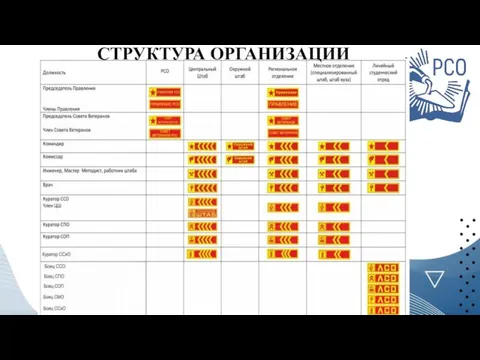 СТРУКТУРА ОРГАНИЗАЦИИ