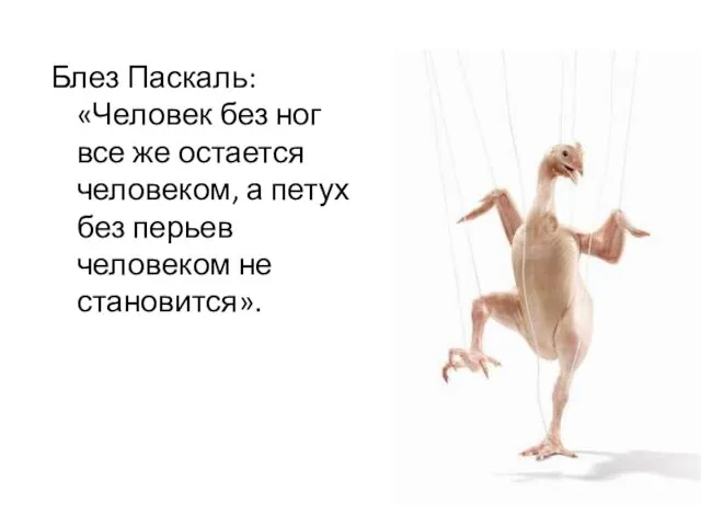 Блез Паскаль: «Человек без ног все же остается человеком, а петух без перьев человеком не становится».