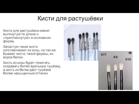 Кисти для растушёвки имеют вытянутую по длине и «приплюснутую» в основании форму.