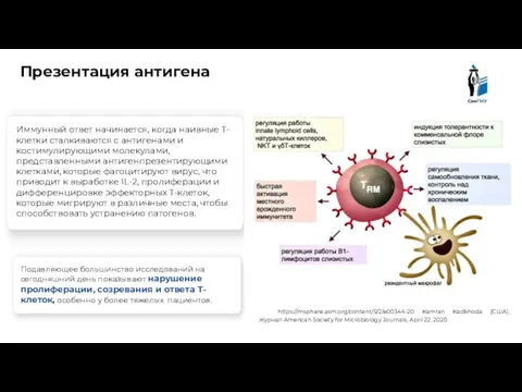 Презентация антигена https://msphere.asm.org/content/5/2/e00344-20 Kamran Kadkhoda (США), Журнал American Society for Microbiology Journals,