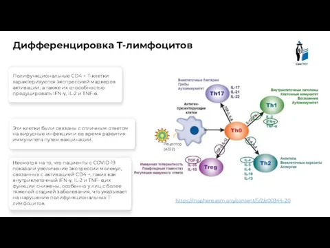 https://msphere.asm.org/content/5/2/e00344-20 Дифференцировка Т-лимфоцитов Рецептор (ACE2) Полифункциональные CD4 + Т-клетки характеризуются экспрессией маркеров