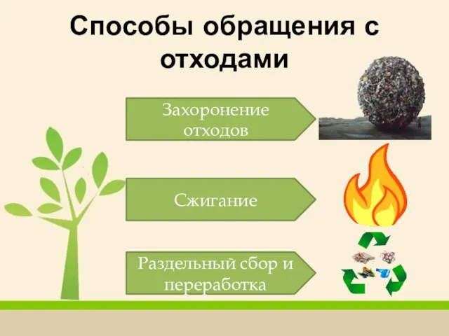 Способы обращения с отходами Захоронение отходов Сжигание Раздельный сбор и переработка