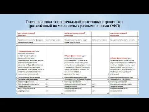 Годичный цикл этапа начальной подготовки первого года (разделённый на мезоциклы с разными видами ОФП)