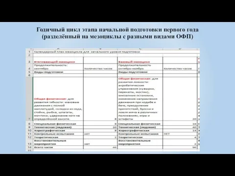 Годичный цикл этапа начальной подготовки первого года (разделённый на мезоциклы с разными видами ОФП)