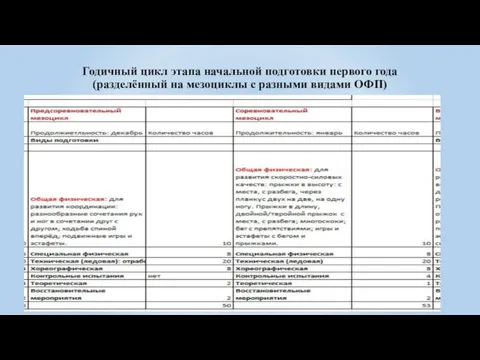 Годичный цикл этапа начальной подготовки первого года (разделённый на мезоциклы с разными видами ОФП)