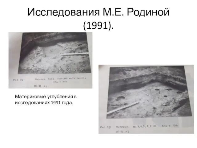 Исследования М.Е. Родиной (1991). Материковые углубления в исследованиях 1991 года.