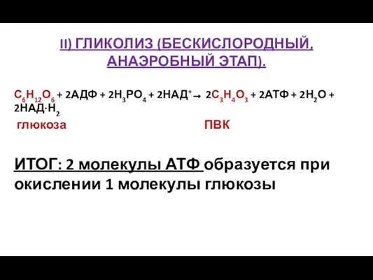 II) ГЛИКОЛИЗ (БЕСКИСЛОРОДНЫЙ, АНАЭРОБНЫЙ ЭТАП). С6Н12О6 + 2АДФ + 2Н3РО4 + 2НАД+→