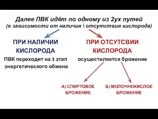 Далее ПВК идёт по одному из 2ух путей (в зависимости от наличия \ отсутствия кислорода)