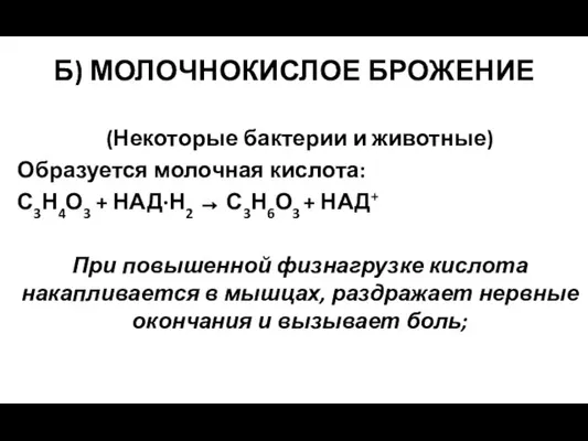 Б) МОЛОЧНОКИСЛОЕ БРОЖЕНИЕ (Некоторые бактерии и животные) Образуется молочная кислота: С3Н4О3 +