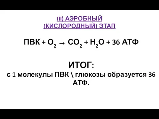 III) АЭРОБНЫЙ (КИСЛОРОДНЫЙ) ЭТАП ПВК + О2 → СО2 + Н2О +