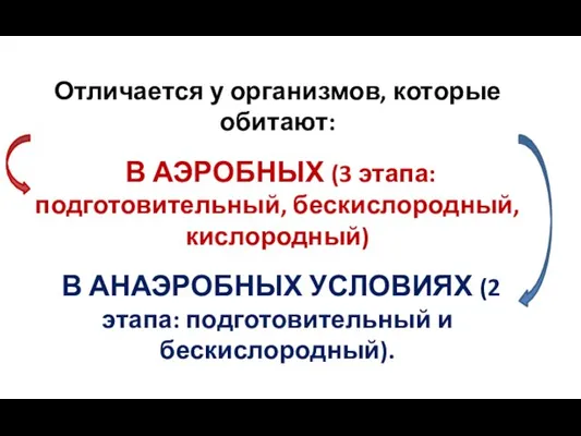 Отличается у организмов, которые обитают: В АЭРОБНЫХ (3 этапа: подготовительный, бескислородный, кислородный)