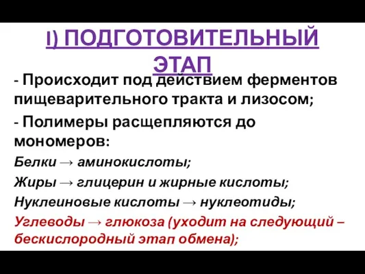 I) ПОДГОТОВИТЕЛЬНЫЙ ЭТАП - Происходит под действием ферментов пищеварительного тракта и лизосом;