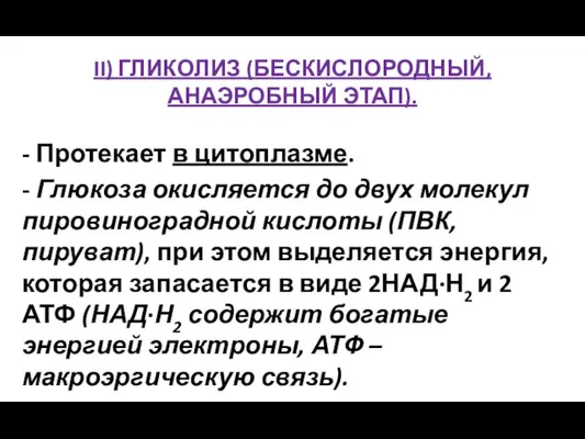 II) ГЛИКОЛИЗ (БЕСКИСЛОРОДНЫЙ, АНАЭРОБНЫЙ ЭТАП). - Протекает в цитоплазме. - Глюкоза окисляется