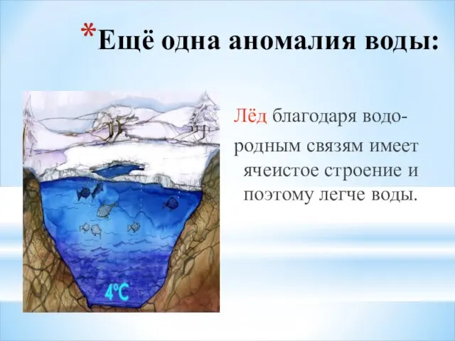 Ещё одна аномалия воды: Лёд благодаря водо- родным связям имеет ячеистое строение и поэтому легче воды.