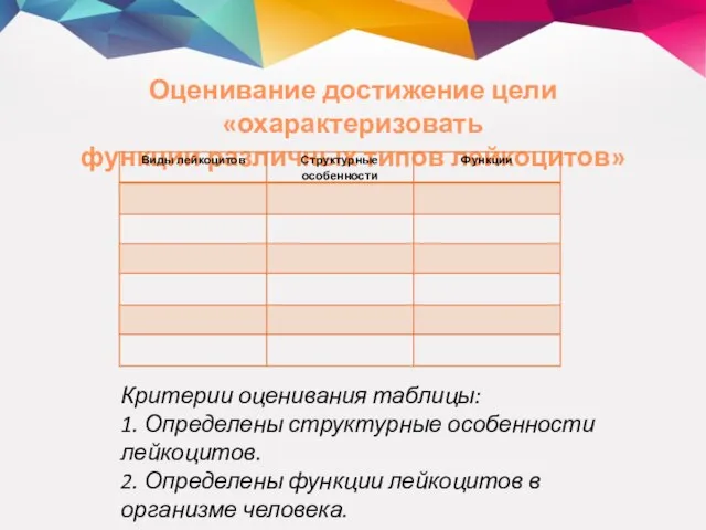 Критерии оценивания таблицы: 1. Определены структурные особенности лейкоцитов. 2. Определены функции лейкоцитов