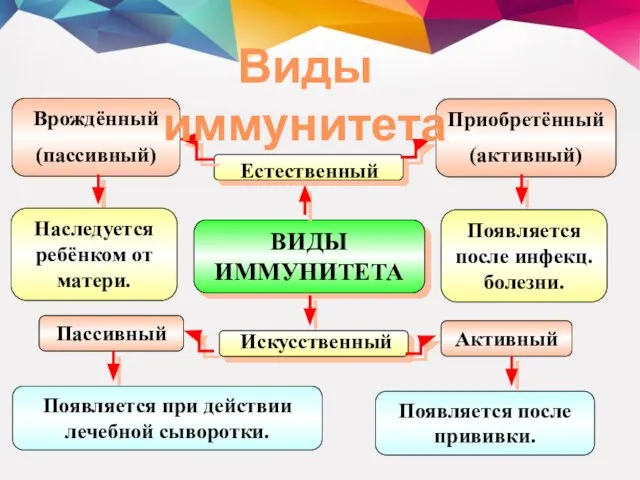 Виды иммунитета