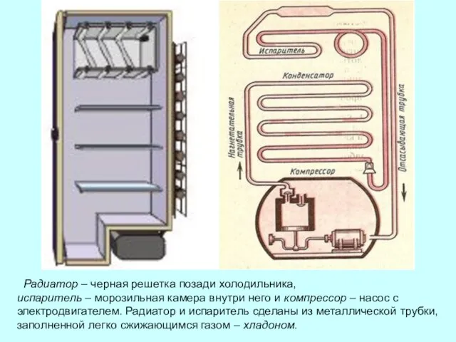 Радиатор – черная решетка позади холодильника, испаритель – морозильная камера внутри него