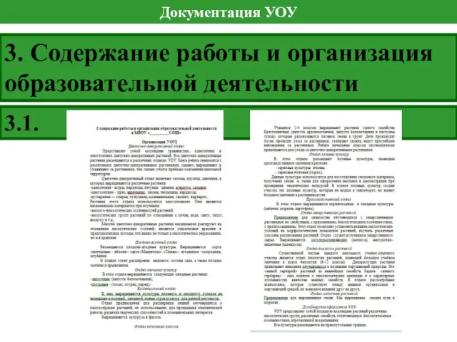 Документация УОУ 3. Содержание работы и организация образовательной деятельности 3.1.