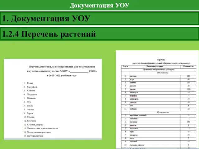 Документация УОУ 1. Документация УОУ 1.2.4 Перечень растений