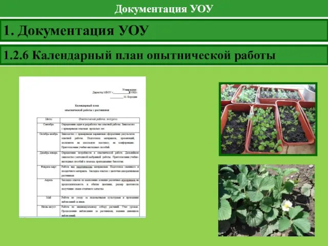 Документация УОУ 1. Документация УОУ 1.2.6 Календарный план опытнической работы