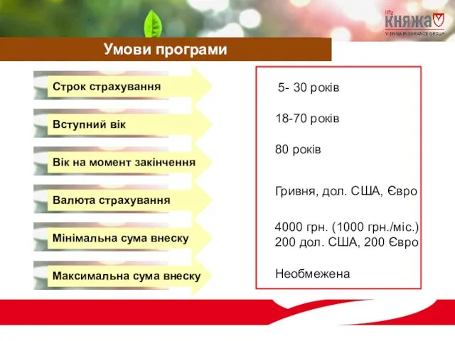 Необмежена 4000 грн. (1000 грн./міс.) 200 дол. США, 200 Євро Гривня, дол.