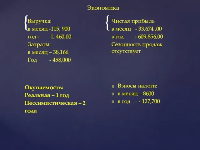 Выручка: в месяц -115, 900 год - 1, 460,00 Затраты: в месяц