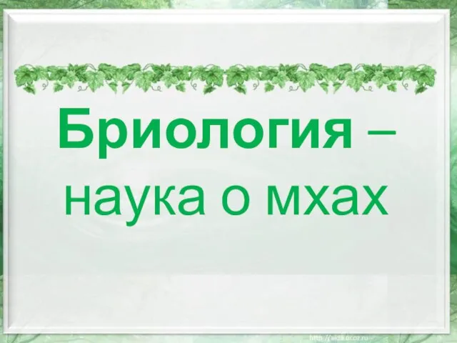 Бриология – наука о мхах