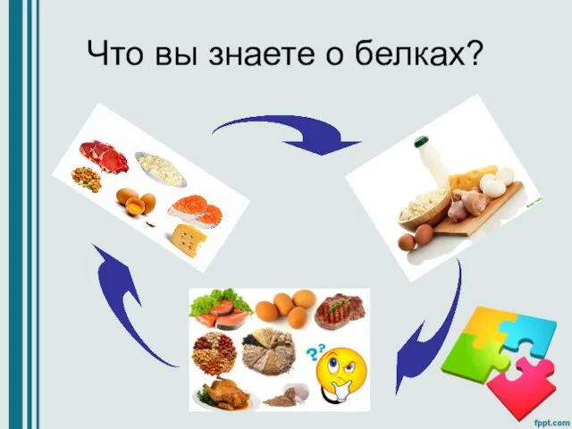 Что вы знаете о белках?