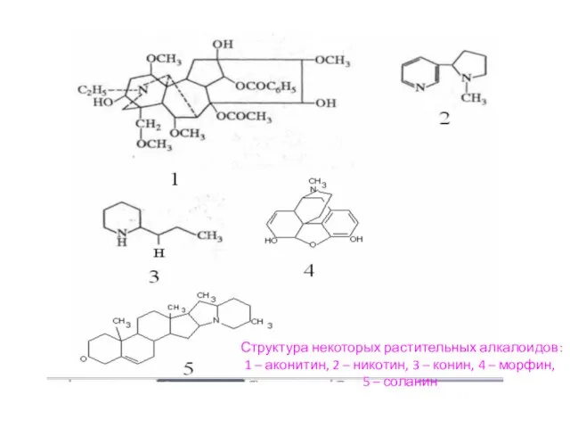 Структура некоторых растительных алкалоидов: 1 – аконитин, 2 – никотин, 3 –