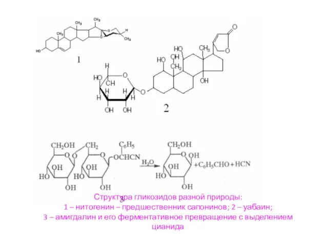 Структура гликозидов разной природы: 1 – нитогенин – предшественник сапонинов; 2 –