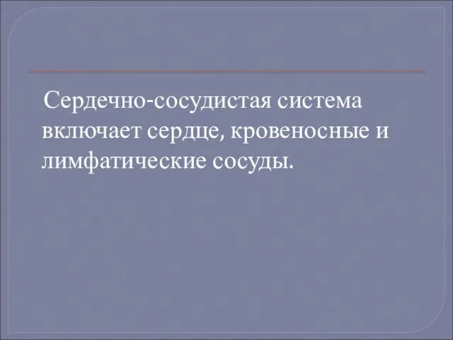 Сердечно-сосудистая система включает сердце, кровеносные и лимфатические сосуды.