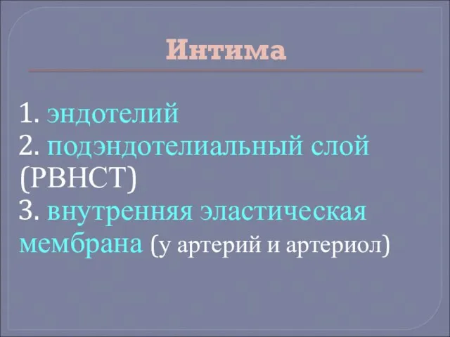 Интима 1. эндотелий 2. подэндотелиальный слой (РВНСТ) 3. внутренняя эластическая мембрана (у артерий и артериол)