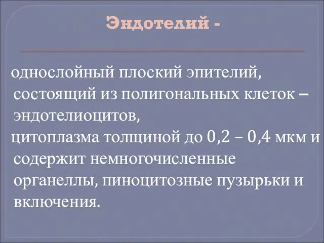 Эндотелий - однослойный плоский эпителий, состоящий из полигональных клеток – эндотелиоцитов, цитоплазма