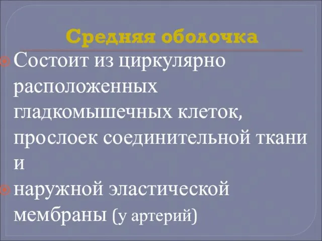 Средняя оболочка Состоит из циркулярно расположенных гладкомышечных клеток, прослоек соединительной ткани и