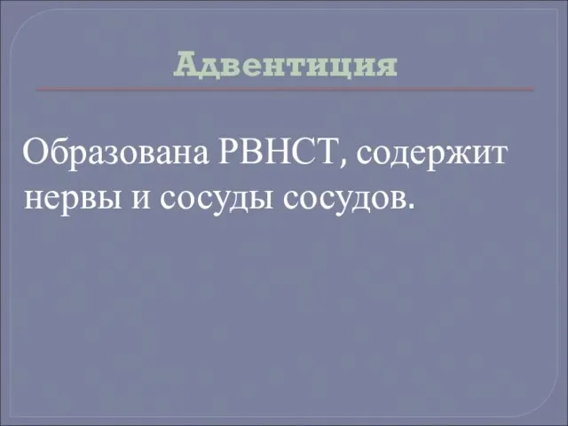 Адвентиция Образована РВНСТ, содержит нервы и сосуды сосудов.