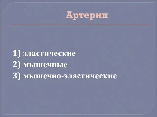 Артерии 1) эластические 2) мышечные 3) мышечно-эластические