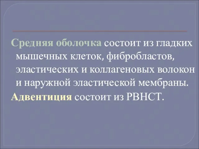 Средняя оболочка состоит из гладких мышечных клеток, фибробластов, эластических и коллагеновых волокон