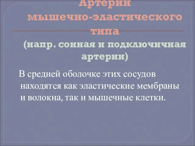 Артерии мышечно-эластического типа (напр. сонная и подключичная артерии) В средней оболочке этих