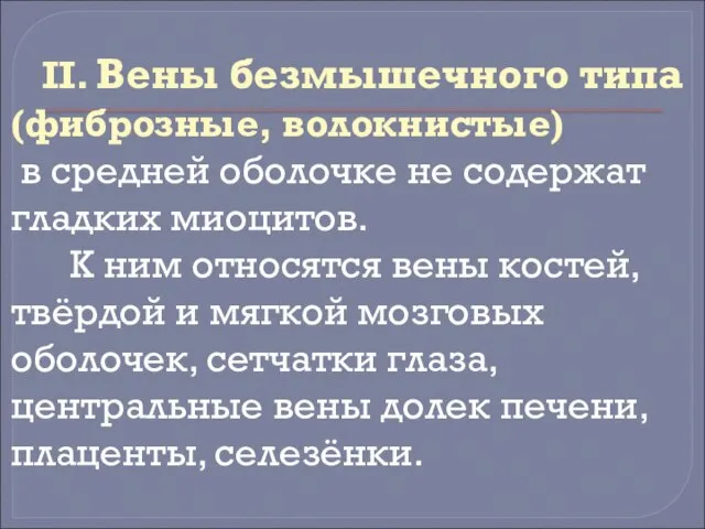 II. Вены безмышечного типа (фиброзные, волокнистые) в средней оболочке не содержат гладких