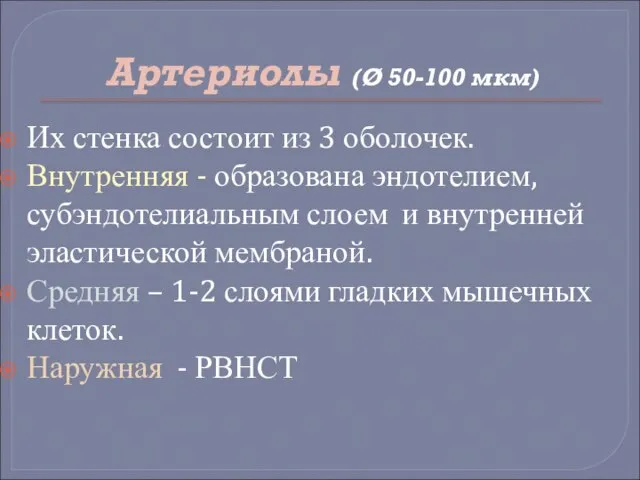 Артериолы (Ø 50-100 мкм) Их стенка состоит из 3 оболочек. Внутренняя -