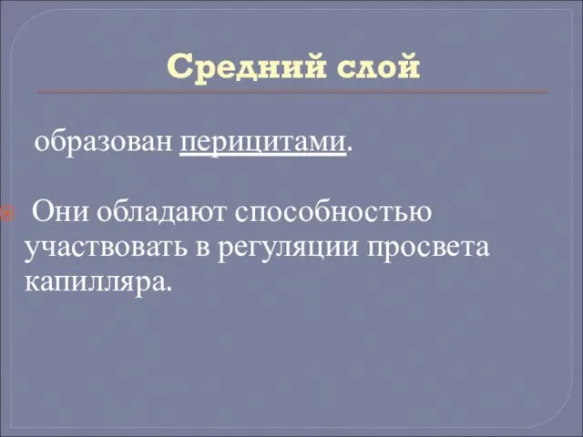 Средний слой образован перицитами. Они обладают способностью участвовать в регуляции просвета капилляра.