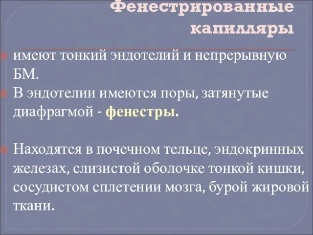 Фенестрированные капилляры имеют тонкий эндотелий и непрерывную БМ. В эндотелии имеются поры,